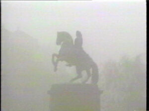 Horse Image