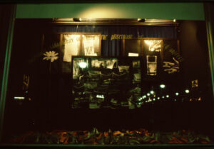 Window Image