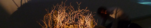 installation shots: <em>Imaginative Feats</em> & <em>Sleeping Under Stars</em>