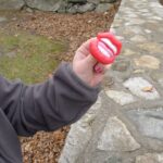 the lips