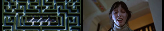 The Shining gninihS ehT