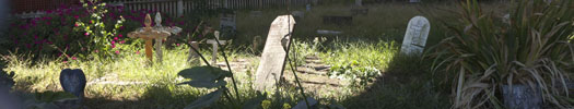 Falsework, the Presidio, a pet cemetery